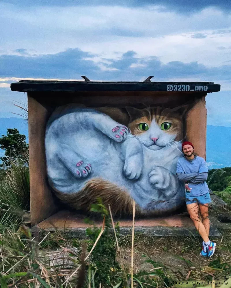 Tai Mo Shan Cat House by the street artist Vladi (@3230_one) on a hiking trail in Hong Kong.